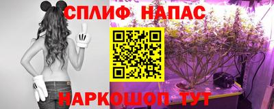 скорость Гатчина