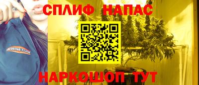 мдпв Гай
