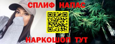 мдпв Гай