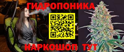 мдпв Гай